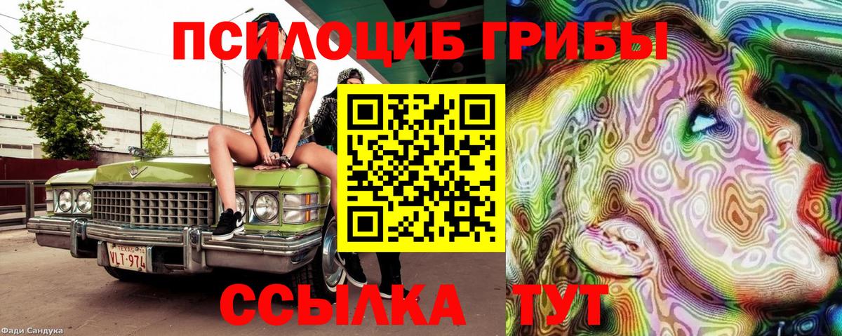 Лянтор  Псилоцибиновые грибы Cubensis  Вход с VPN 