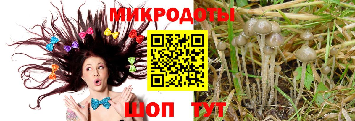Галлюциногенные грибы мицелий Лянтор